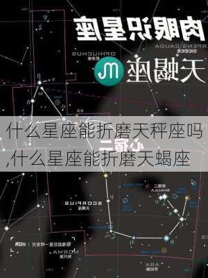 什么星座能折磨天秤座吗,什么星座能折磨天蝎座