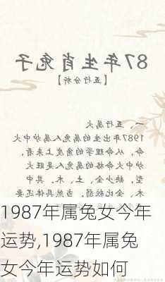 1987年属兔女今年运势,1987年属兔女今年运势如何