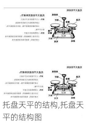 托盘天平的结构,托盘天平的结构图