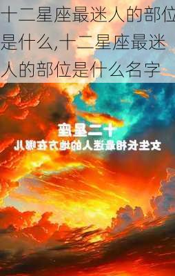 十二星座最迷人的部位是什么,十二星座最迷人的部位是什么名字