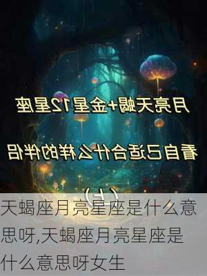 天蝎座月亮星座是什么意思呀,天蝎座月亮星座是什么意思呀女生