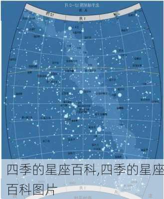 四季的星座百科,四季的星座百科图片