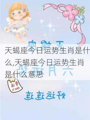 天蝎座今日运势生肖是什么,天蝎座今日运势生肖是什么意思