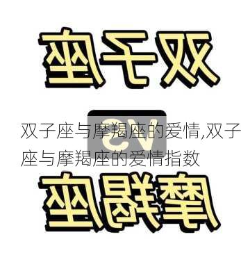 双子座与摩羯座的爱情,双子座与摩羯座的爱情指数