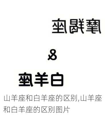 山羊座和白羊座的区别,山羊座和白羊座的区别图片