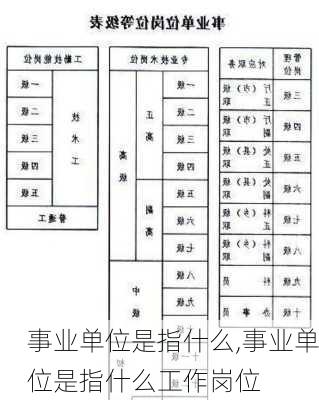 事业单位是指什么,事业单位是指什么工作岗位