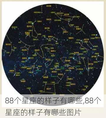 88个星座的样子有哪些,88个星座的样子有哪些图片