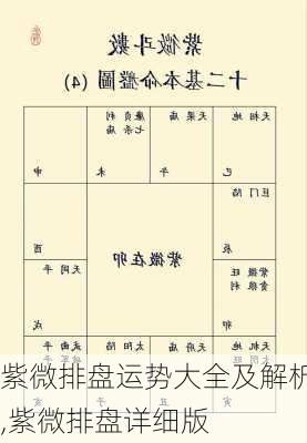 紫微排盘运势大全及解析,紫微排盘详细版