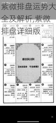 紫微排盘运势大全及解析,紫微排盘详细版