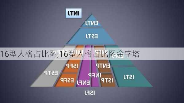 16型人格占比图,16型人格占比图金字塔