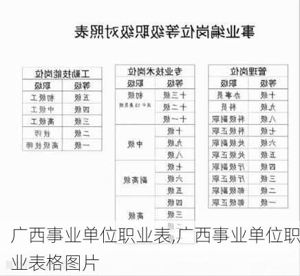 广西事业单位职业表,广西事业单位职业表格图片