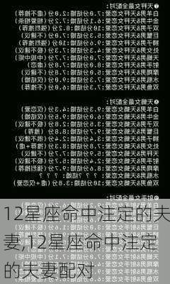 12星座命中注定的夫妻,12星座命中注定的夫妻配对