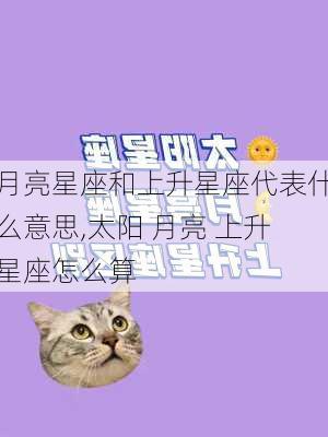 月亮星座和上升星座代表什么意思,太阳 月亮 上升星座怎么算