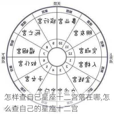 怎样查自己星座十二宫落在哪,怎么查自己的星座十二宫