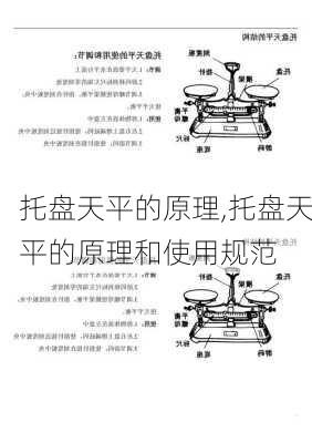 托盘天平的原理,托盘天平的原理和使用规范