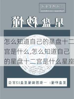 怎么知道自己的星盘十二宫是什么,怎么知道自己的星盘十二宫是什么星座