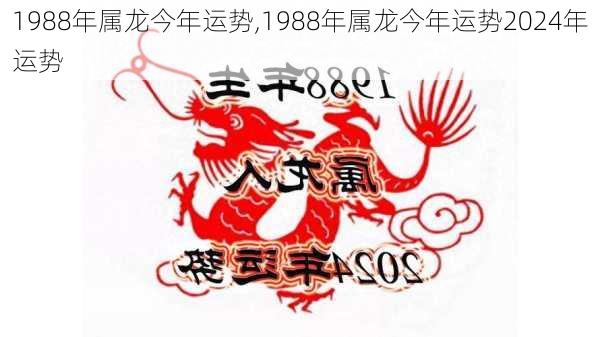 1988年属龙今年运势,1988年属龙今年运势2024年运势