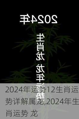 2024年运势12生肖运势详解属龙,2024年生肖运势 龙