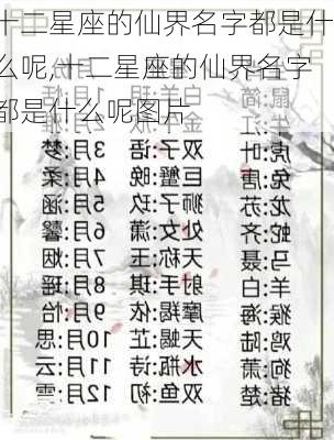 十二星座的仙界名字都是什么呢,十二星座的仙界名字都是什么呢图片