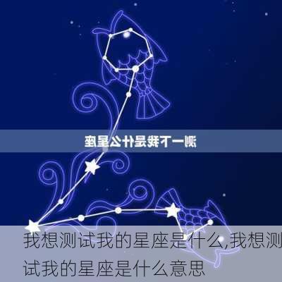 我想测试我的星座是什么,我想测试我的星座是什么意思