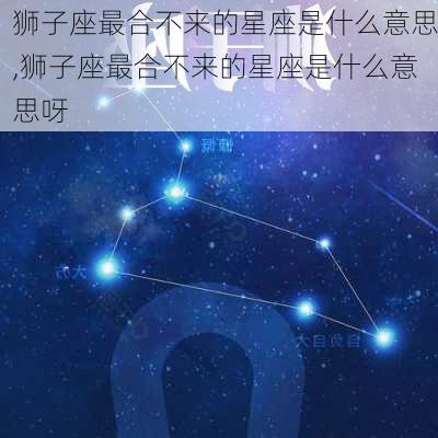 狮子座最合不来的星座是什么意思,狮子座最合不来的星座是什么意思呀