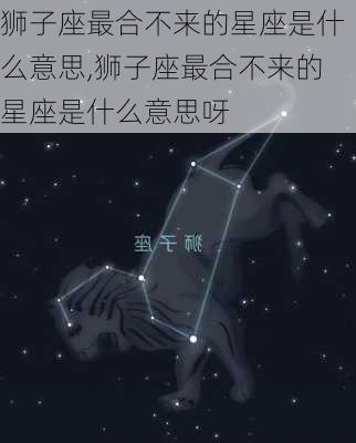 狮子座最合不来的星座是什么意思,狮子座最合不来的星座是什么意思呀