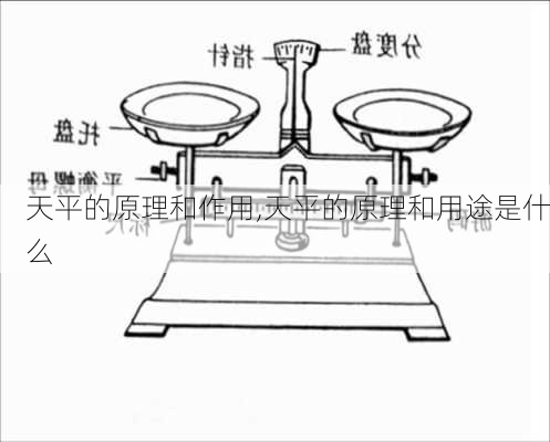 天平的原理和作用,天平的原理和用途是什么