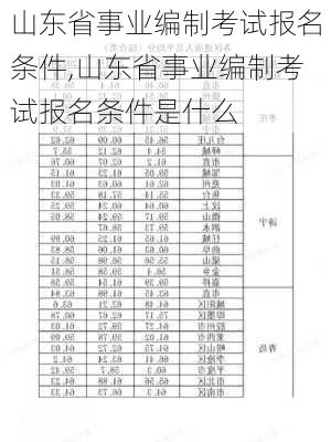 山东省事业编制考试报名条件,山东省事业编制考试报名条件是什么