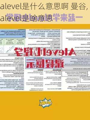 alevel是什么意思啊 曼谷,alevel是啥意思