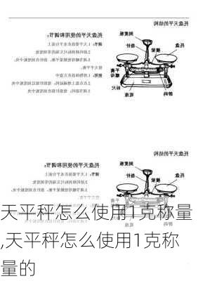 天平秤怎么使用1克称量,天平秤怎么使用1克称量的