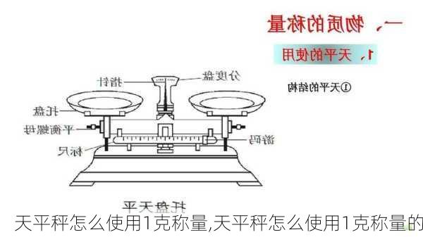 天平秤怎么使用1克称量,天平秤怎么使用1克称量的