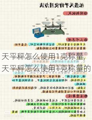 天平秤怎么使用1克称量,天平秤怎么使用1克称量的