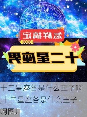 十二星座各是什么王子啊,十二星座各是什么王子啊图片