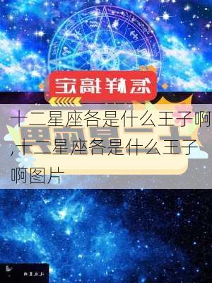 十二星座各是什么王子啊,十二星座各是什么王子啊图片