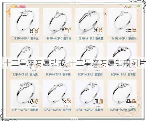 十二星座专属钻戒,十二星座专属钻戒图片