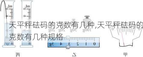 天平秤砝码的克数有几种,天平秤砝码的克数有几种规格