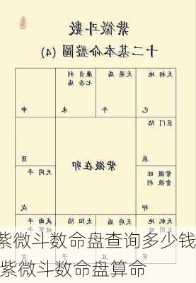 紫微斗数命盘查询多少钱,紫微斗数命盘算命