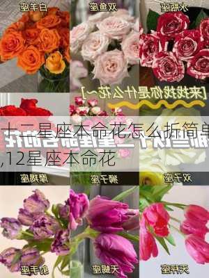 十二星座本命花怎么折简单,12星座本命花