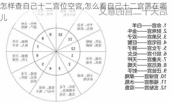 怎样查自己十二宫位空宫,怎么看自己十二宫落在哪儿