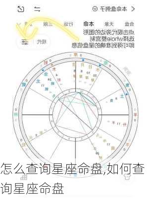 怎么查询星座命盘,如何查询星座命盘