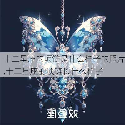 十二星座的项链是什么样子的照片,十二星座的项链长什么样子