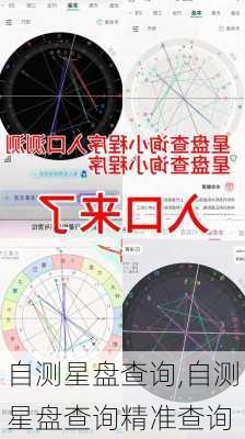 自测星盘查询,自测星盘查询精准查询