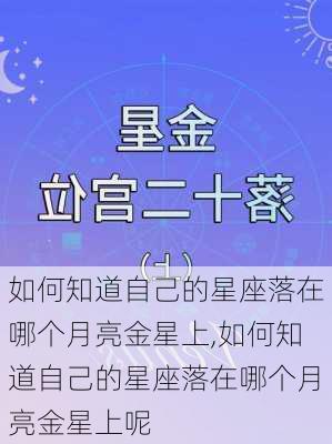 如何知道自己的星座落在哪个月亮金星上,如何知道自己的星座落在哪个月亮金星上呢