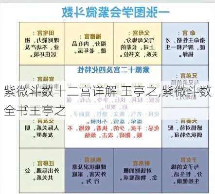 紫微斗数十二宫详解 王亭之,紫微斗数全书王亭之