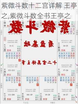 紫微斗数十二宫详解 王亭之,紫微斗数全书王亭之