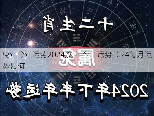 兔年今年运势2024,兔年今年运势2024每月运势如何