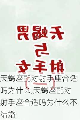 天蝎座配对射手座合适吗为什么,天蝎座配对射手座合适吗为什么不结婚