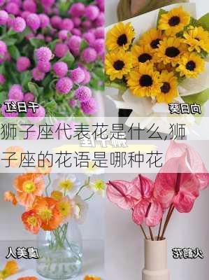 狮子座代表花是什么,狮子座的花语是哪种花