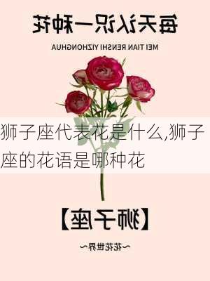 狮子座代表花是什么,狮子座的花语是哪种花