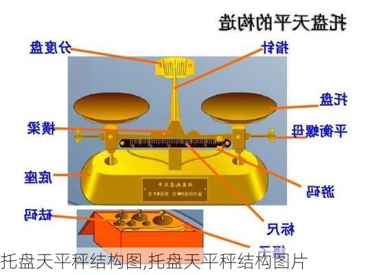 托盘天平秤结构图,托盘天平秤结构图片